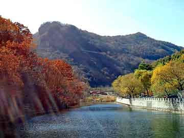 新澳天天开奖资料大全旅游团，高桥通泰